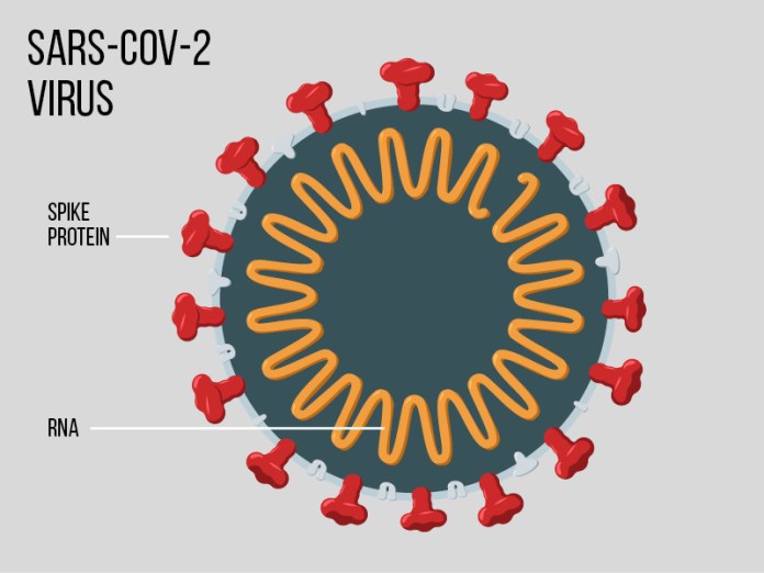 AA Thornton - SARS-Cov-2 Virus drawing